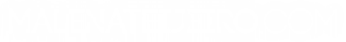 logo_header